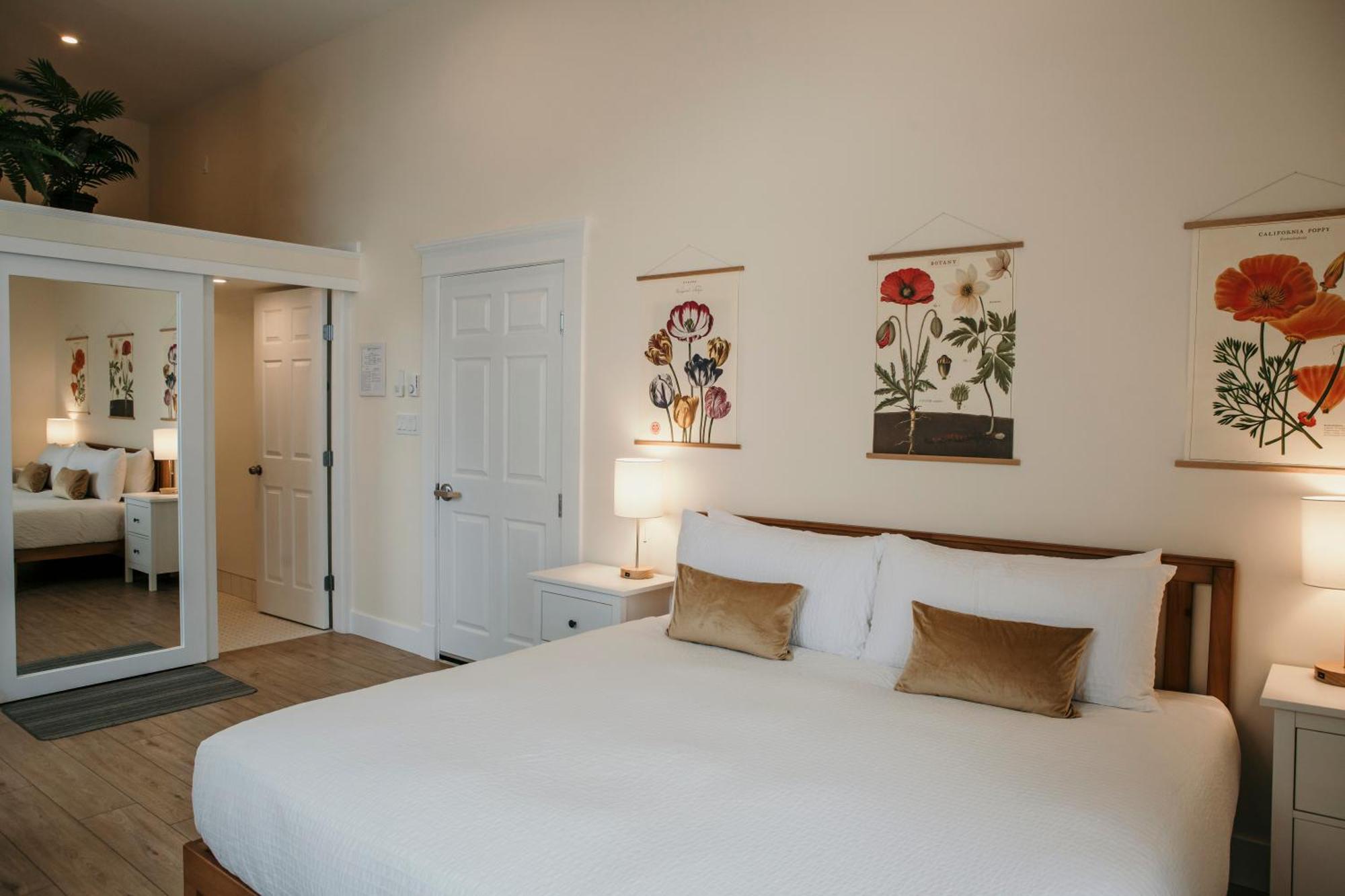 Stirling All Suites Hotel Nelson Cameră foto